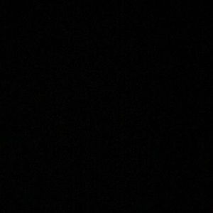 Meet your Posher, Leonard